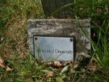 image of grave number 187003